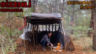 Solo Camping at the Bushcraft Shelter - Grilled Fish, Nature Sound, Nature Documentary