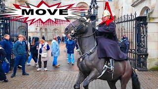 ‼️Spooked King's Horse Causes Chaos – Guard Orders Tourists to Move.!