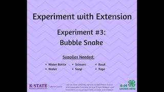 Experiment With Extension: Bubble Snake