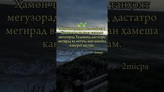 як мисра шеър