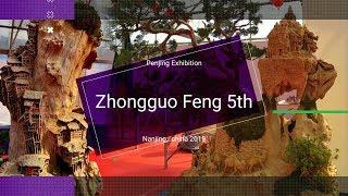 Penjing Exhibition - zhongguo feng 5th, china 2019