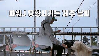 SUB 단순로그295 in Jeju 파워 J 당황시키는 제주 날씨 vlog