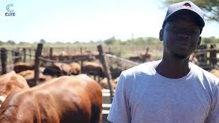 Richard Chinhamo | Cattle Breeder / Farmer | Stock feed | The Breakfast Club | S05EP53