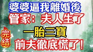 婆婆逼我離婚後，管家：夫人生了，一胎三寶，前夫徹底慌了！
