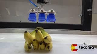Handling test Fruit