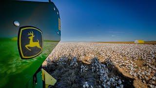 Australian cotton harvest 2023. Moree NSW.