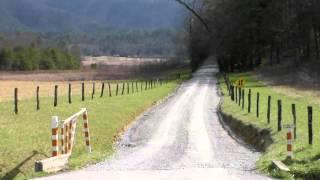 Trip to Cades Cove to see the Buttercups in bloom.