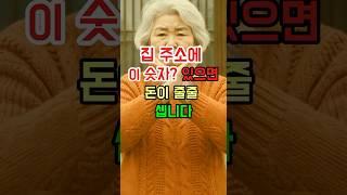 집주소 이 숫자 ? 있으면  돈이 줄줄 셉니다