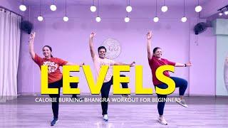 Levels - Dance Fitness | Calorie Burning Bhangra Workout for Beginners | 2024