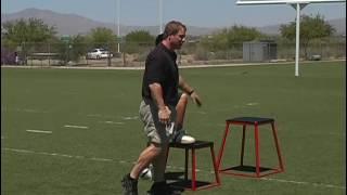 Plyometrics Training - Coach David Sandler - 64 Minute Instructional Video