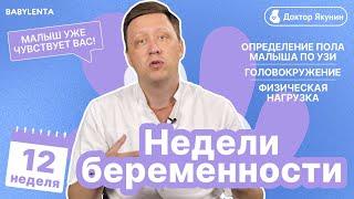 12 неделя беременности что происходит с малышом и мамой, как выглядит ребенок, можно ли узнать пол