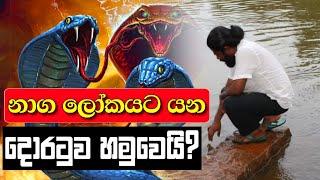 නාග ලෝකයේ දොරටුව හමුවෙයි │Naga Lokaya│ │Kelani Viharaya Temple│ - Beyond Illusion to Reality