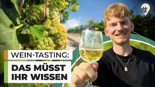 5 Tipps für eine Fahrradtour durch die Weinberge | Saale & Unstrut | Doku | #hinREISEND