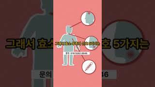 효소는 줄어들게됩니다 #레드파인tv #건강관리  #chatgpt #ksta #lcai  #봉숭아학당 #shorts  #바디플러스명작