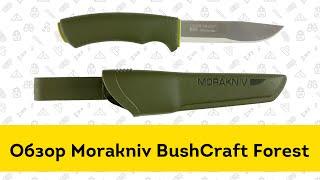 Нож Morakniv Bushcraft Forest - обзор