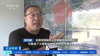 [正点财经]北京海淀：科技助力打造智慧农场|CCTV财经