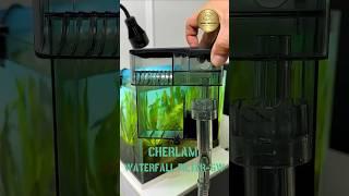 Testing The Cherlam Waterfall Filter - 6Watt #aquarius #shortsvideo #aquascape #pets #fish