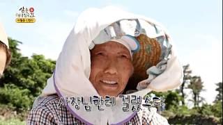 KCTV 신(新) 삼춘어디감수과  - 인정가득 수박마을, 애월읍 신엄리