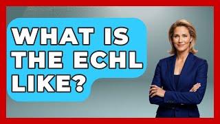 What Is The ECHL Like? - Hockey Fan Network