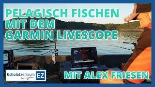 Pelagisch Fischen mit dem Garmin LiveScope / mit Alex Friesen vom Team Quantum | Echolotzentrum.de