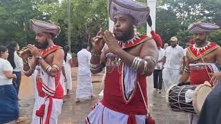 The Bodhi Tree Worship in Anuradhapura,  Sri Lanka