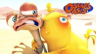 Oscar Has a New Baby Chicken Friend?! | Oscar’s Oasis | Funny Cartoons for Kids