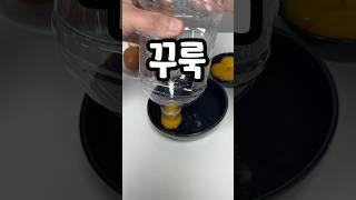 계란 노른자 분리하는 여러가지 방법 (ft.꿀팁)