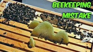 Bad Beekeeping Mistake