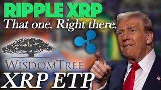 Ripple XRP: Will Trump Pick Ripple To Be On His Advisory Board? & New WisdomTree XRP ETP