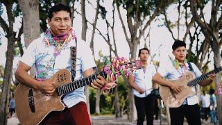 Ayrampito / Carnaval de mis Amores / Vídeo Carnaval 2020