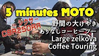 5 minutes MOTO 野間の大けやき ありなしコーヒーツー Large zelkova Coffee Touring