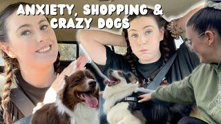 Dog Friendly Co Review & Day in the life as a Dog Mum | PLUS Costco Shop with me & haul