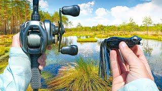 Fishing ONLY Topwater Lures For MONSTER Bass (Nonstop Action)