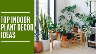 Top Plant Decor Ideas for your Home | Plant Decor Ideas | Woodofa