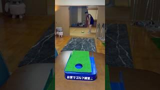 お家で悔しいゴルフ練習