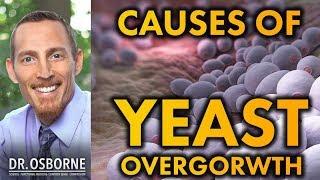 What Causes Yeast Overgrowth?