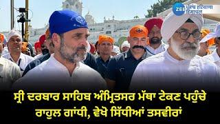 ਸ੍ਰੀ ਦਰਬਾਰ ਸਾਹਿਬ ਅੰਮ੍ਰਿਤਸਰ ਮੱਥਾ ਟੇਕਣ ਪਹੁੰਚੇ Rahul Gandhi, ਵੇਖੋ ਸਿੱਧੀਆਂ ਤਸਵੀਰਾਂ | ZeePHH