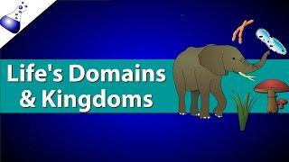 Domains and Kingdoms of life