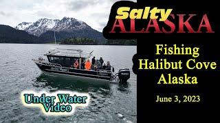 Fishing in Halibut Cove, Alaska, with underwater cameras