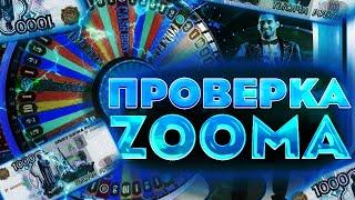 ZOOMA ПРОВЕРКА САЙТА | С 250 РУБЛЕЙ ОКУПИЛСЯ ?