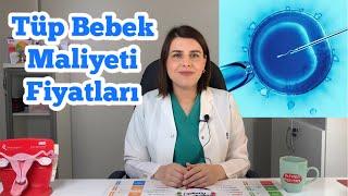 Tüp Bebek Fiyatları, Maliyeti Belirleyen Faktörler - Op. Dr. Funda Yazıcı Erol