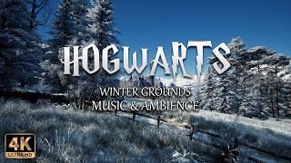 Winter Grounds at Hogwarts | 4K Harry Potter Music & Ambience