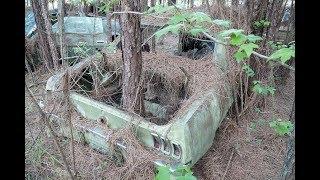 Barn Finds - 56 Classic Mustangs Discovered in Woods in Louisiana