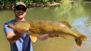 Kayak Fishing - And Catching HUGE FISH! (Small River)