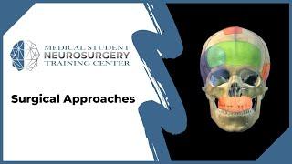 Surgical Approaches