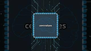 What is 5G AMF | 5G Access & Mobility Management Function | Brain of 5G Control Plane in 60 Seconds!