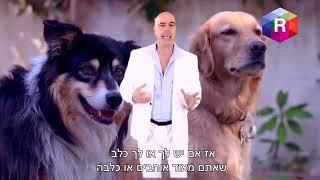 בוק תמונות לחיות מחמד בוק צילומים מקצועיים לכלבים בוק תמונות מקצועי לחתולים בוק בטבע בוק לחיות מחמד