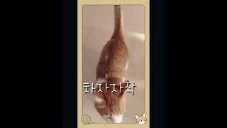 밥 줘!