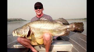 100+ Pound Gigantic Nile Perch!!!