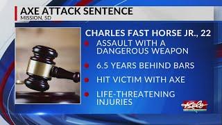 Mission man sentenced for assault with axe